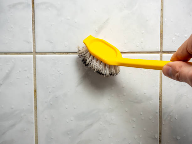 Best Commercial Mold Removal  in Eldersburg, MD
