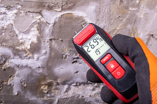 Best Local Mold Removal Service  in Eldersburg, MD